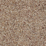 Wild Silk Treasure Island Carpet - Treasure Island / 2.5m