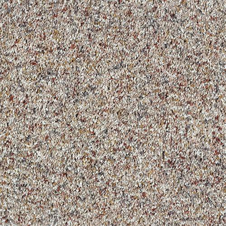 Wild Silk Confetti Carpet - Confetti / 2.5m