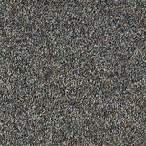 Wild Silk Belgravia Carpet - Belgravia / 2.5m