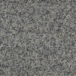 Wild Silk Silver Spoon Carpet - Silver Spoon / 2.5m