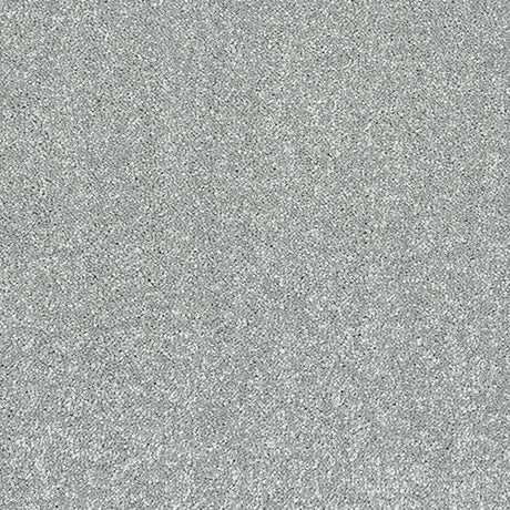 Stainfree Caress Platinum Carpet - Platinum / 2.5m