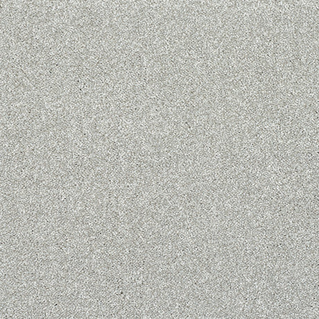 Stainfree Caress Silver Carpet - Silver / 2.5m