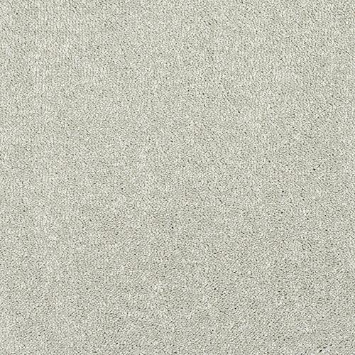 Stainfree Caress Suede Carpet - Suede / 2.5m