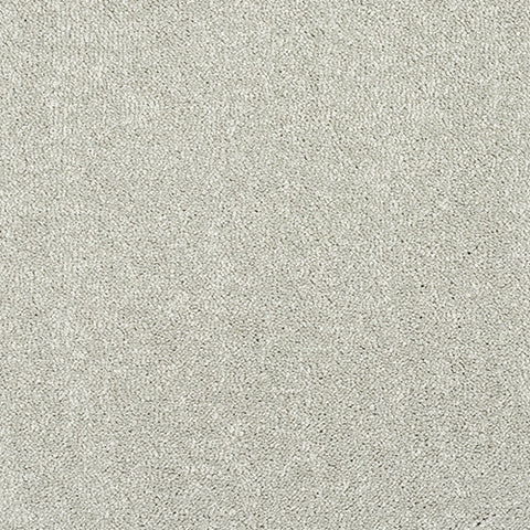 Stainfree Caress Suede Carpet - Suede / 2.5m