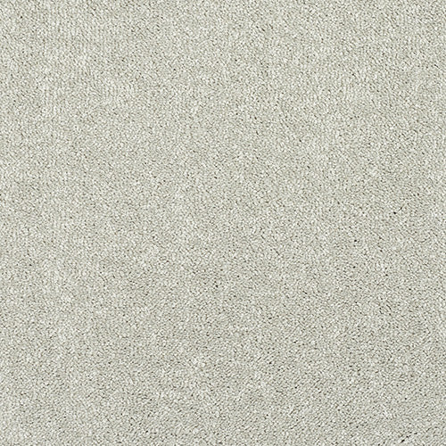Stainfree Caress Suede Carpet - Suede / 2.5m