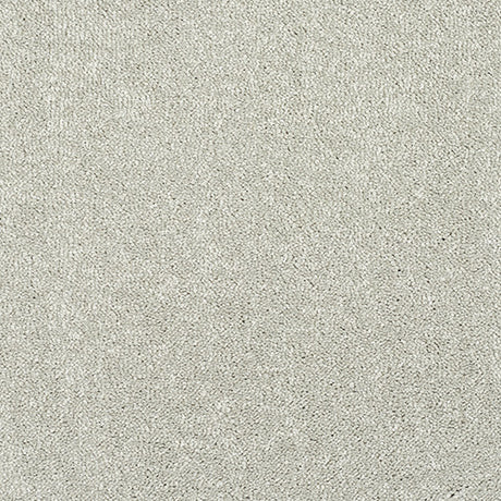 Stainfree Caress Suede Carpet - Suede / 2.5m