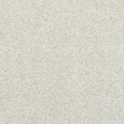 Stainfree Caress Champagne Carpet - Champagne / 2.5m