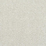 Stainfree Caress Champagne Carpet - Champagne / 2.5m