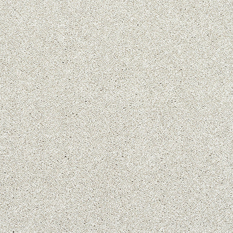 Stainfree Caress Champagne Carpet - Champagne / 2.5m