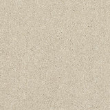 Stainfree Caress Cotton Carpet - Cotton / 2.5m