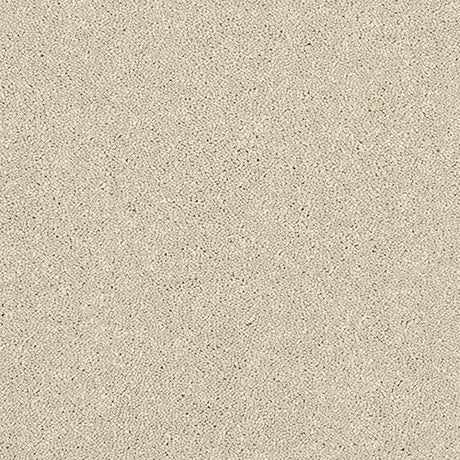 Stainfree Caress Cotton Carpet - Cotton / 2.5m