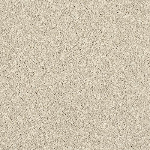 Stainfree Caress Cotton Carpet - Cotton / 2.5m