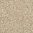 Stainfree Caress Latte Carpet - Latte / 2.5m