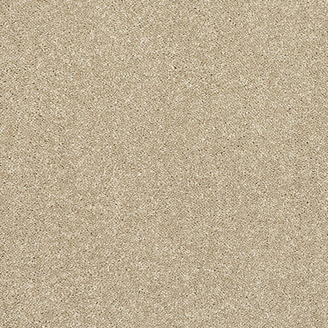 Stainfree Caress Latte Carpet - Latte / 2.5m