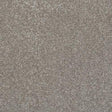 Stainfree Caress Mocha Carpet - Mocha / 2.5m