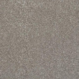 Stainfree Caress Mocha Carpet - Mocha / 2.5m