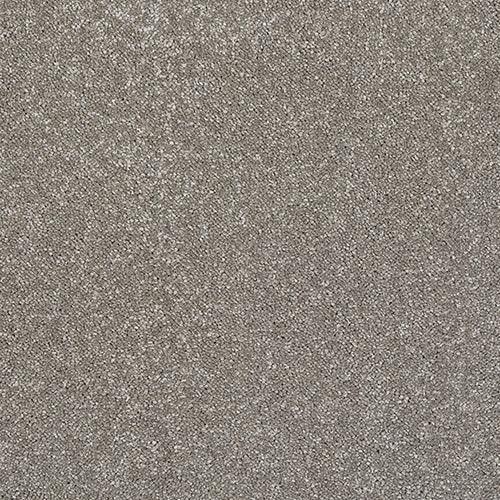 Stainfree Caress Mocha Carpet - Mocha / 2.5m