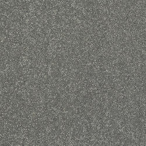 Stainfree Caress Titanium Carpet - Titanium / 2.5m
