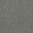 Stainfree Caress Titanium Carpet - Titanium / 2.5m