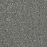 Stainfree Caress Titanium Carpet - Titanium / 2.5m