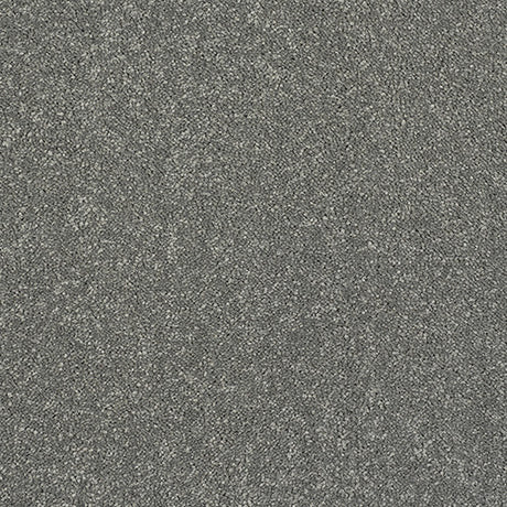 Stainfree Caress Titanium Carpet - Titanium / 2.5m