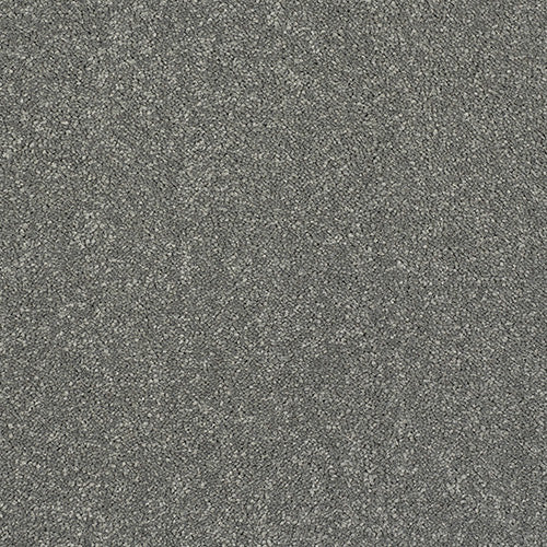 Stainfree Caress Titanium Carpet - Titanium / 2.5m