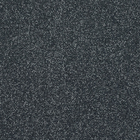 Stainfree Caress Ebony Carpet - Ebony / 2.5m
