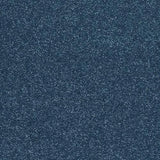 Stainfree Caress Sapphire Carpet - Sapphire / 2.5m