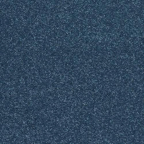 Stainfree Caress Sapphire Carpet - Sapphire / 2.5m