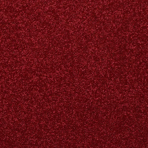 Stainfree Caress Rioja Carpet - Rioja / 2.5m