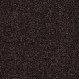 Stainfree Caress Bourneville Carpet - Bourneville / 2.5m