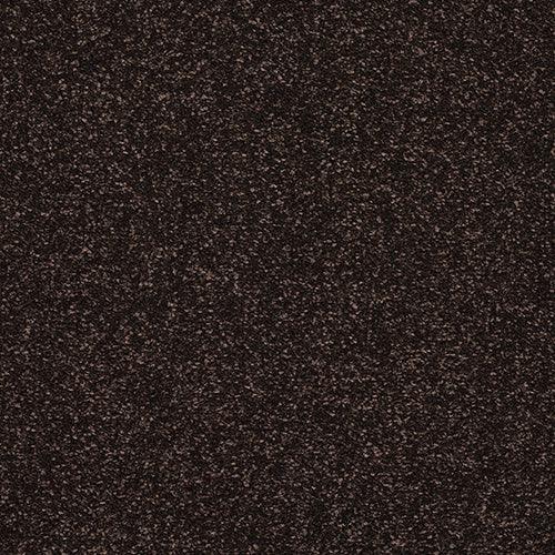 Stainfree Caress Bourneville Carpet - Bourneville / 2.5m