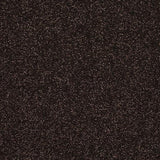 Stainfree Caress Bourneville Carpet - Bourneville / 2.5m