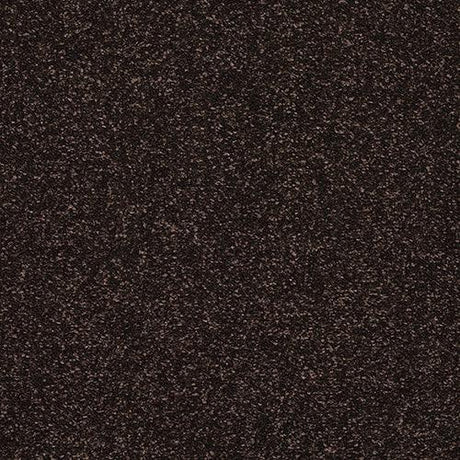 Stainfree Caress Bourneville Carpet - Bourneville / 2.5m