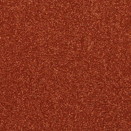 Stainfree Caress Terracotta Carpet - Terracotta / 2.5m