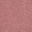 Stainfree Caress Pink Whisper Carpet - Pink Whisper / 2.5m