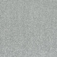 Finesse Platinum Carpet - Platinum / 2.5m