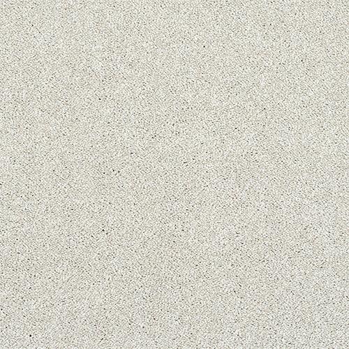 Finesse Champagne Carpet - Champagne / 2.5m