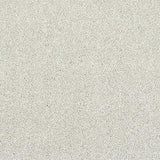 Finesse Champagne Carpet - Champagne / 2.5m