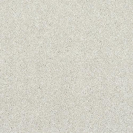 Finesse Champagne Carpet - Champagne / 2.5m