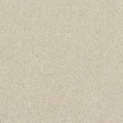 Finesse Cotton Carpet - Cotton / 2.5m