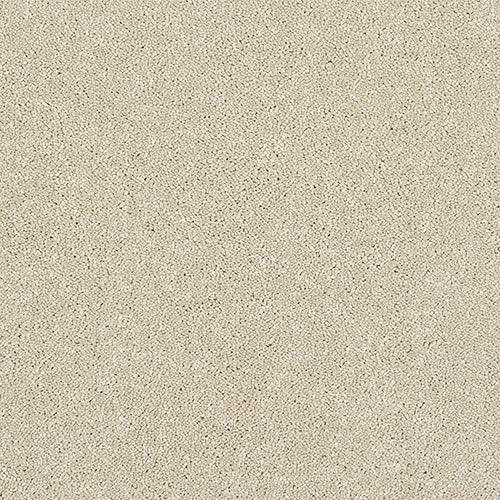 Finesse Cotton Carpet - Cotton / 2.5m