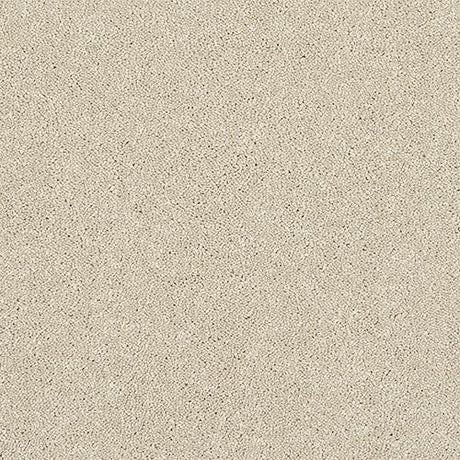 Finesse Cotton Carpet - Cotton / 2.5m