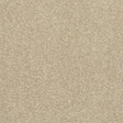 Finesse Latte Carpet - Latte / 2.5m