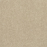 Finesse Latte Carpet - Latte / 2.5m