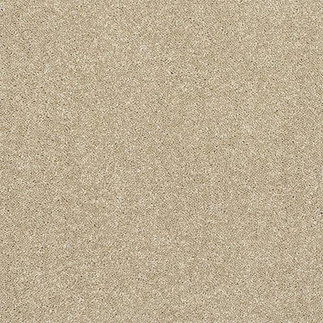 Finesse Latte Carpet - Latte / 2.5m