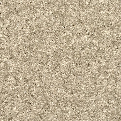 Finesse Latte Carpet - Latte / 2.5m