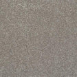 Finesse Mocha Carpet - Mocha / 2.5m