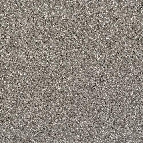Finesse Mocha Carpet - Mocha / 2.5m