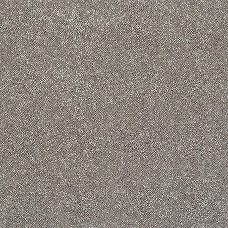 Finesse Mocha Carpet - Mocha / 2.5m